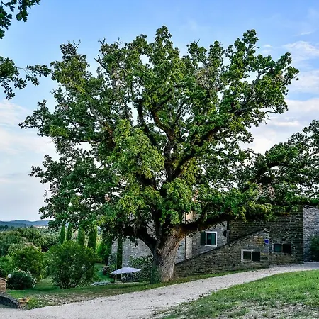 L'abbraccio Della Quercia Apartment Momjan