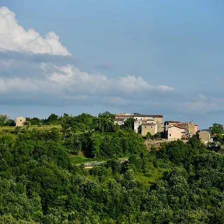 L'abbraccio Della Quercia