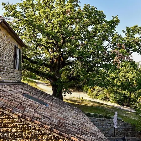 L'abbraccio Della Quercia * Momjan
