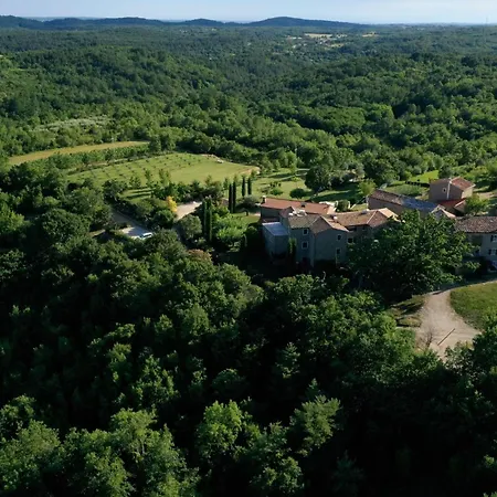 L'abbraccio Della Quercia *